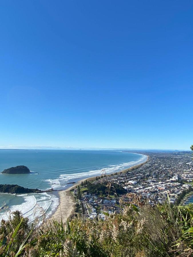 Peaceful Mount Studio Moments To Beach & Downtown 芒格努伊山 外观 照片